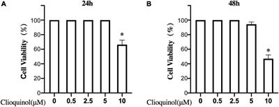 Intra-articular injection of clioquinol ameliorates osteoarthritis in a rabbit model